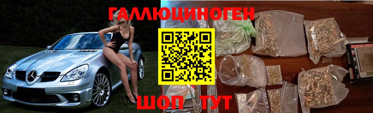 Галлюциногенные грибы прущие грибы Богородицк