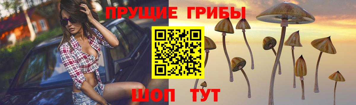 Богородицк  Галлюциногенные грибы прущие грибы  купить наркотик  Вход с VPN 